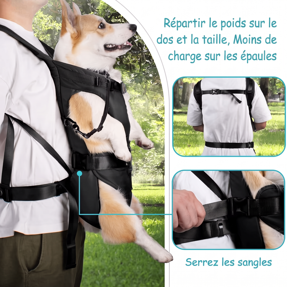 Porte chien ventral