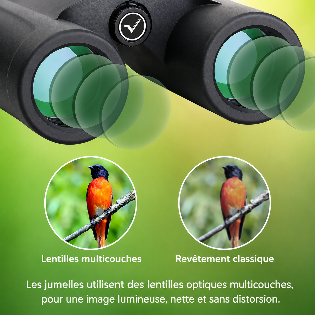 Jumelles compactes 10x42