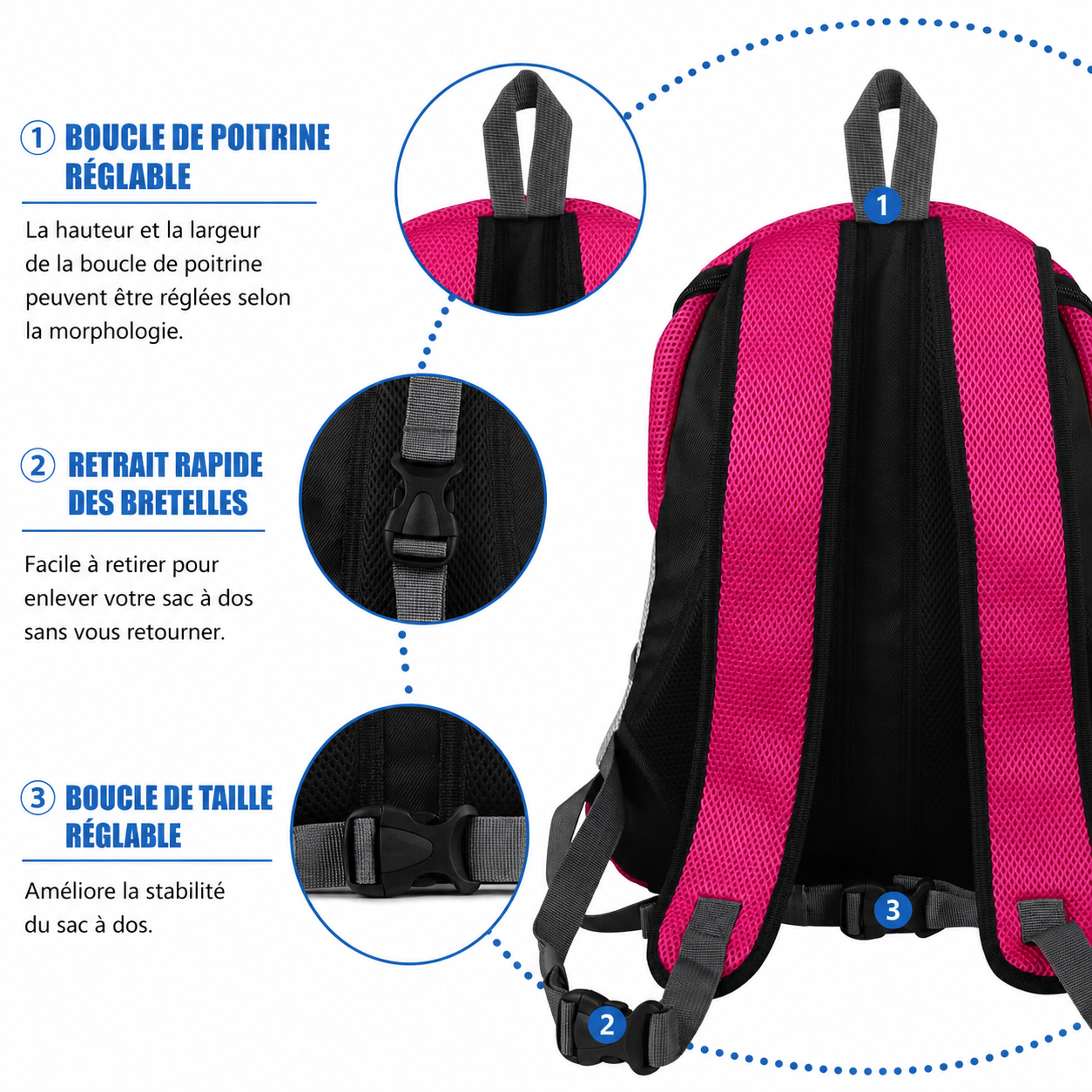 Sac à dos pour chien randonnée