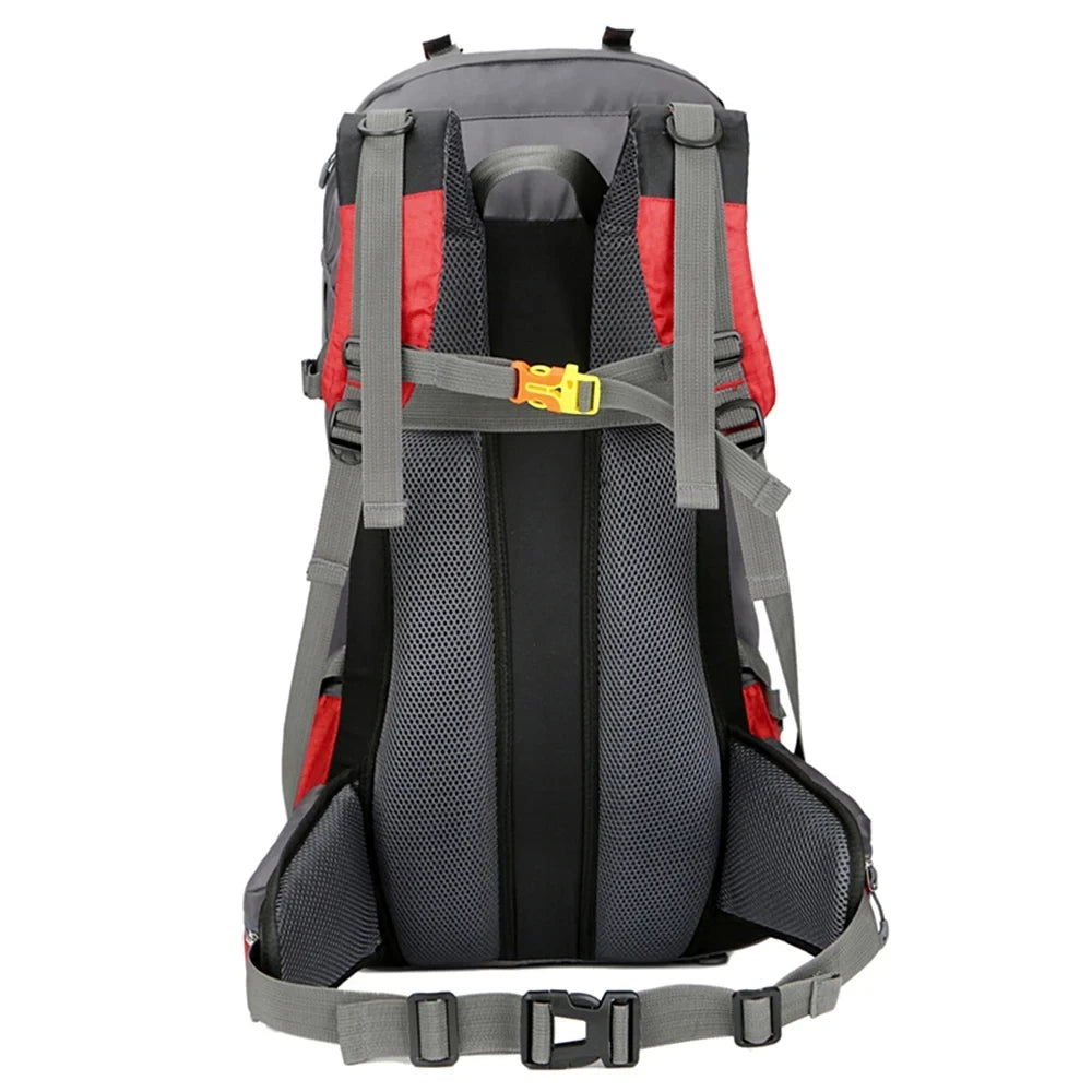 Sac de randonnée 60L