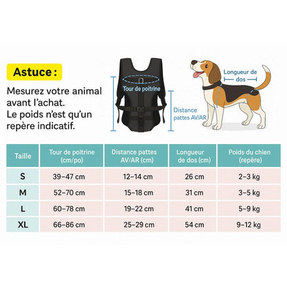 Porte chien ventral