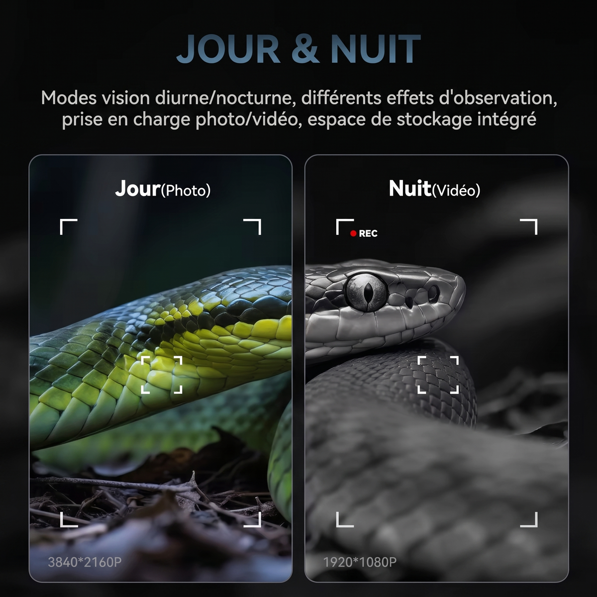 Jumelles vision nocturne